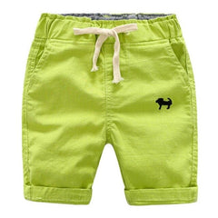 Casual Summer Beach Shorts