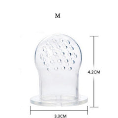 Fruit Feeder Pacifier