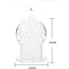 Fruit Feeder Pacifier