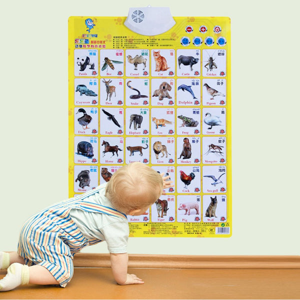 Audio Chart Alphabet English Learning Machine