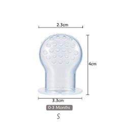 Fruit Feeder 2  Pacifier