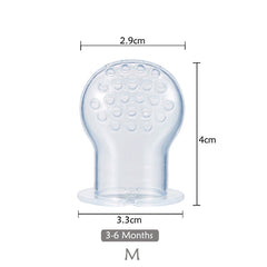 Fruit Feeder 2  Pacifier