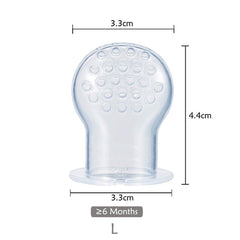 Fruit Feeder 2  Pacifier