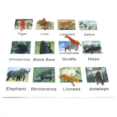 Poultry Animals  Flash Cards
