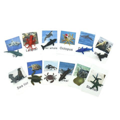 Poultry Animals  Flash Cards