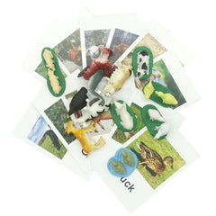Poultry Animals  Flash Cards
