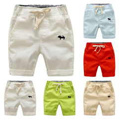 Casual Summer Beach Shorts