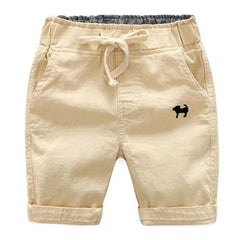 Casual Summer Beach Shorts