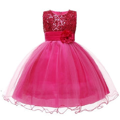New Princess Dress