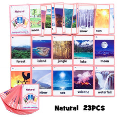 Colors /English /Animal Flash Cards