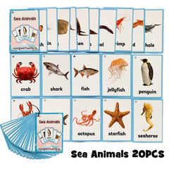 Colors /English /Animal Flash Cards
