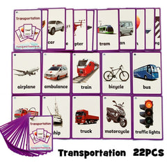 Colors /English /Animal Flash Cards