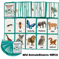 Colors /English /Animal Flash Cards