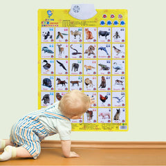 Audio Chart Alphabet English Learning Machine