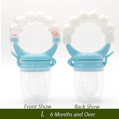 Fruit Feeder 2  Pacifier
